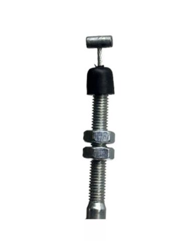 Teli